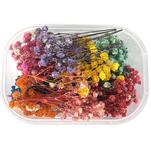 满天星干花diy永生花材 相框盒装干花包 装饰真花ins摆件拍摄道具