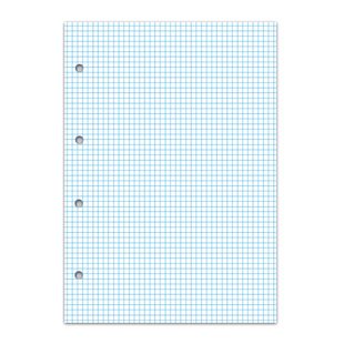 欧式A4加厚高平滑100张无孔2孔3孔4孔胶装本活页芯横线方格笔记本