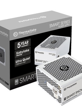Tt台式机电脑白色电源Smart700W