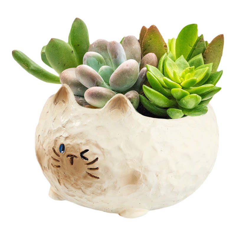 高颜值可爱猫咪造型陶瓷摆件