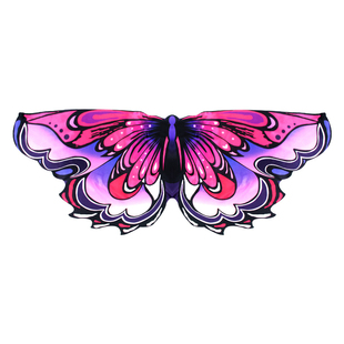 儿童蝴蝶翅膀昆虫装扮背饰虫儿飞舞台cos 渐变彩色舞蹈表演道具