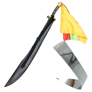 太极刀龙泉不锈钢正品锋远宝剑半硬软刀表演武术响刀晨练刀未开刃