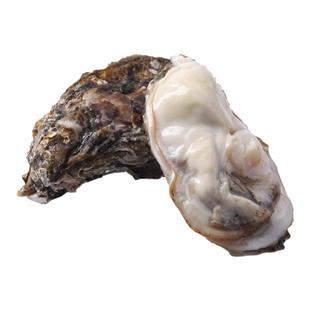 [香菇来了]乳山生蚝贝类海鲜活牡蛎海蛎子烧烤特大肥整箱5斤