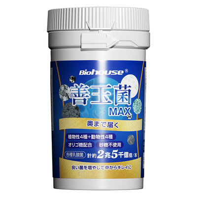 日本善玉菌守护肠胃活菌冻干粉