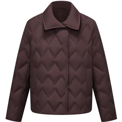 波司登商务翻领25新款女士鹅绒服