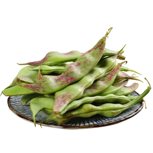 东北油豆角现摘新鲜蔬菜正宗一点红油豆角九月青黑龙江整箱包邮10
