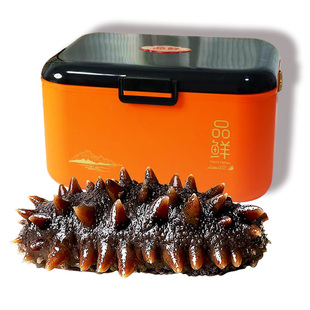 大连刺参鲜蒸即食海参优质冰鲜冷冻辽参海生鲜批发价礼盒装年货款