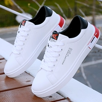 YCK9301 Белый черный