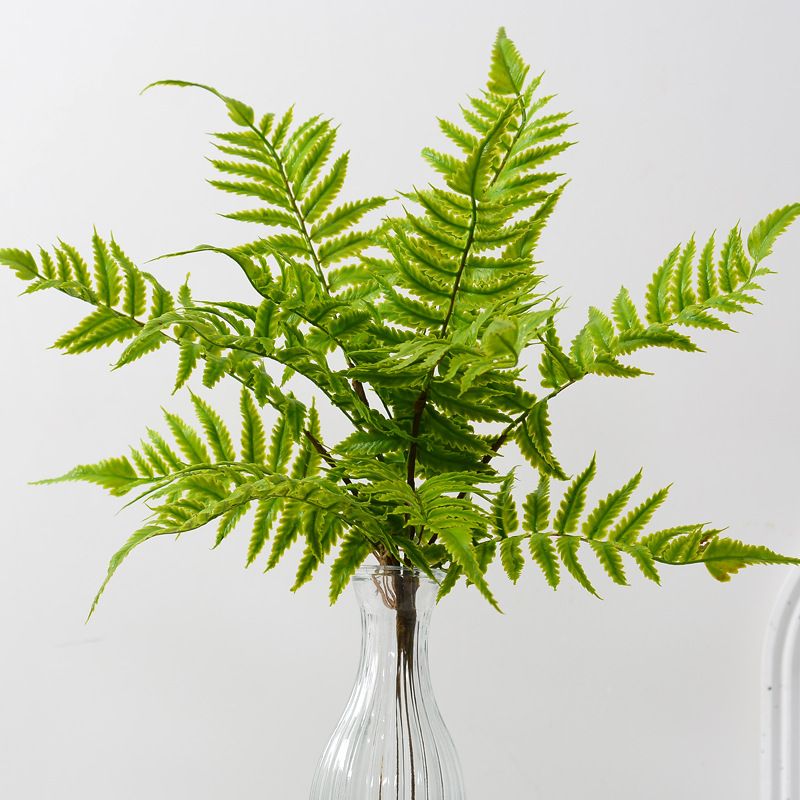 北欧风简约仿真绿植宽叶蕨草蕨类植物墙装饰叶子插花配草婚庆花艺