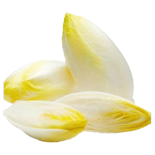 金玉兰菜新鲜芽球菊苣沙拉特菜生吃即食凉拌蔬菜产地直发包邮500g