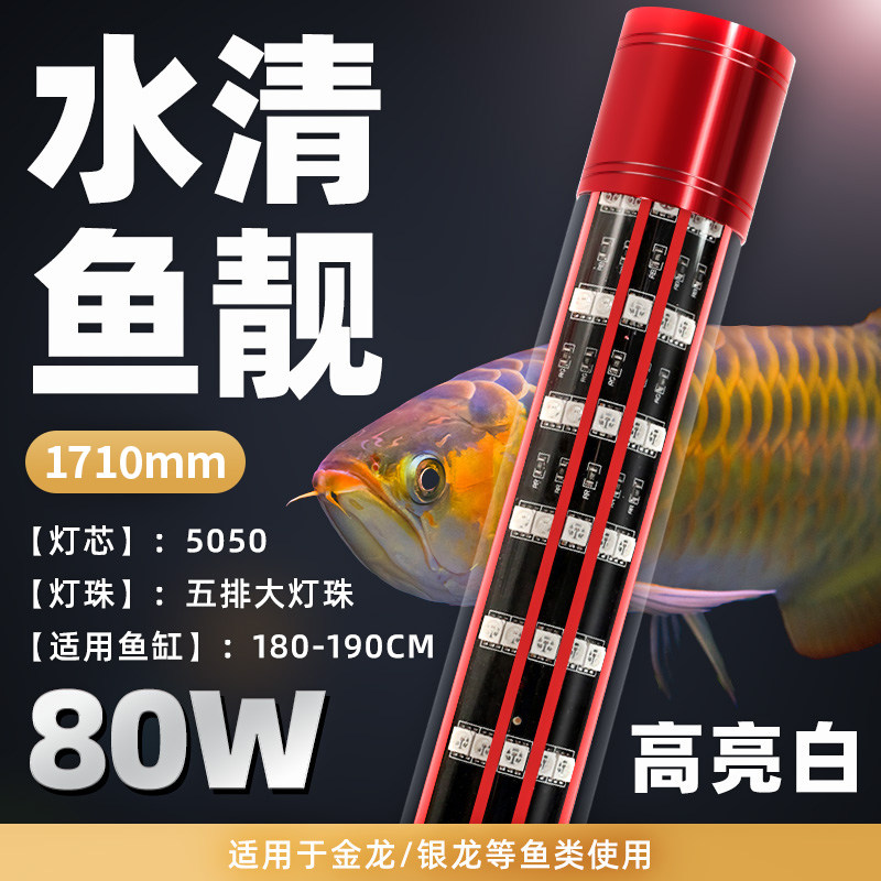 龙鱼灯鱼缸灯led灯防水超亮潜水增红增艳红鱼不红水照明专用金龙