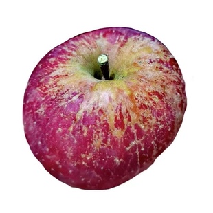 云南昭通糖心丑苹果基地直销水果新鲜当季整箱5斤10大凉山红富士