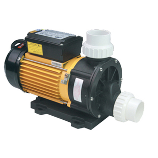 TDA100 TDA200T按摩浴缸广东凌霄同款海水泵泳池大流量高扬程