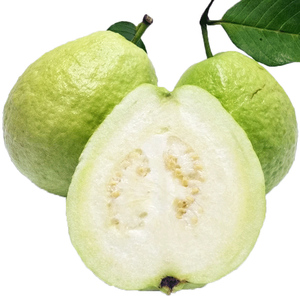 广西现摘白心脆芭乐5斤装番石榴 新鲜热带当季水果果园直发新鲜