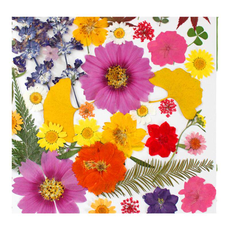 干花diy材料包永生花压花片押花草手工滴胶书签真花植物树叶标本