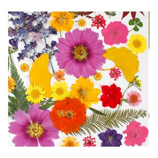 干花diy材料包永生花压花片押花草手工滴胶书签真花植物树叶标本