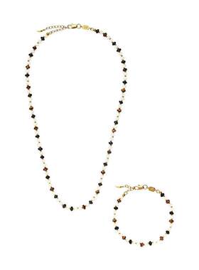 missomaM-2023-1003母贝