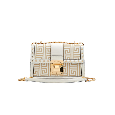 ALDO时尚气质女士链条包通勤百搭