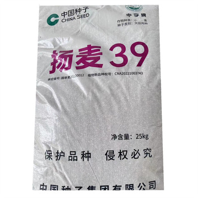 优质国审小麦种子扬麦39抗寒高产