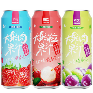 初饮果粒果汁果肉饮料整箱500g大罐00荔枝葡萄汁饮品草莓罐装柠檬
