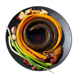 江苏渔民现捕获土黄鳝鱼鳝段鲜活体长鱼现杀500g新鲜淡水水产食用