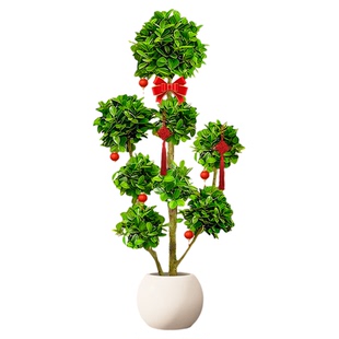 摇钱树盆栽金钱榕办公室大型发财树乔迁之喜室内客厅绿植招财榕树