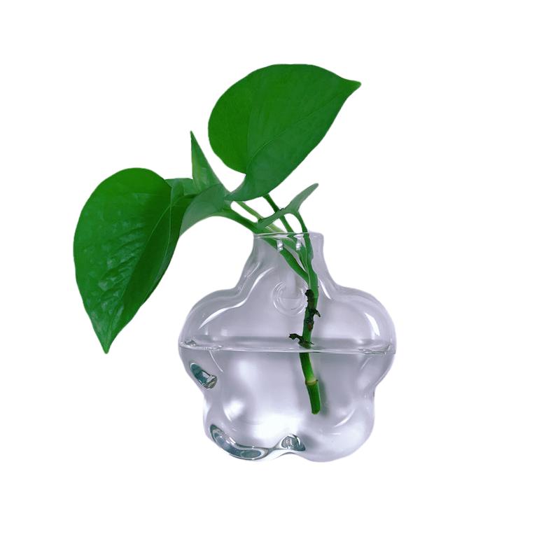 挂墙花瓶水培植物简约壁挂花盆