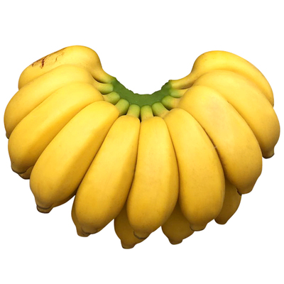 「正宗广西小米蕉」现货速发