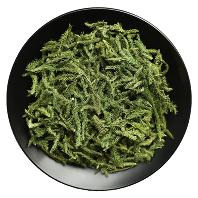 伸筋草新货冷库保鲜筛选中药材