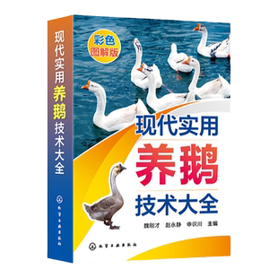 现代实用养鹅技术大全 魏刚才 养鹅关键技术一本通 鹅病诊断鹅场疾病防治 鹅场经营管理 鹅场经营者及广大养鹅专业户阅读参考
