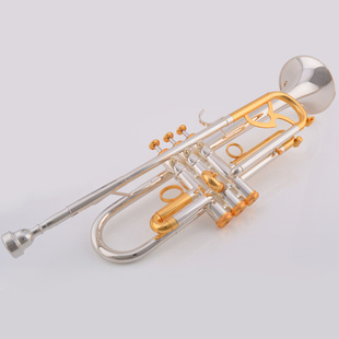 成人 JYTR 金银双色专业演奏型小号 A410 高档元 业乐器小号降B调