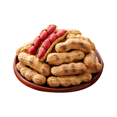 东北铁锅炒花生2025新货