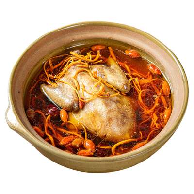 新疆昆仑山农家散养鸽子