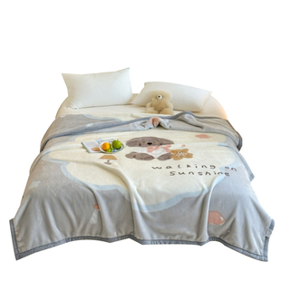 2025年新款拉舍尔毛毯盖被冬天加厚双面毛绒毯子办公室车用午休毯