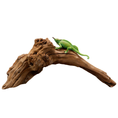 守宫蜥蜴草缸龟蛇攀爬躲避枯木