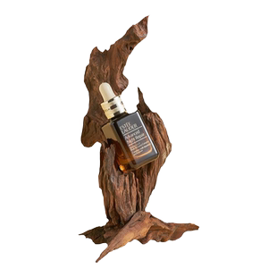 天然木质拍照摆件道具 原实木沉木异形树枝橱窗陈列陈设静物产品摄影拍摄ins森林客厅办公室装饰布景造景简约