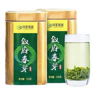 川茶叙府春芽金罐绿茶特级明前高山茶耐泡栗香高品质茶叶自己喝茶