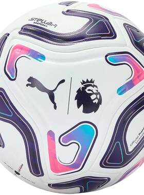 英超联赛FIFA聚氨酯足球PUMA彪马