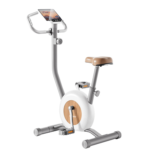 佑美动感单车家用款小型健身器材自行运动室内脚踏车减肥专用K2L