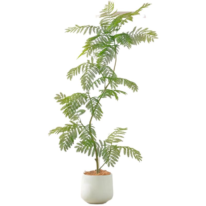 仿真度99.9%6S级仿真蓝花楹