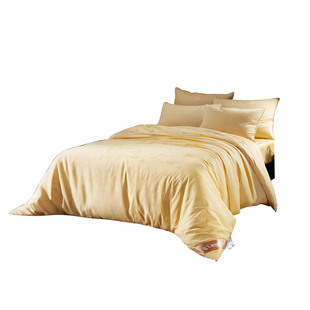 邵氏家纺A类黄金丝蚕丝被100桑蚕丝被双宫蚕茧冬被子母被纯手工