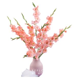 花点时间洋桔梗鲜花云南基地直发花卉鲜花家用插花剑兰鲜切花束