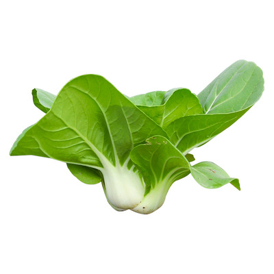 绿领兔子腿矮脚黄白菜种子青菜