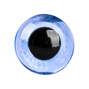 仿真眼睛diy手工面塑糖艺果蔬雕刻树脂工艺品动物标本鸟雕刻眼睛