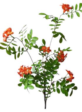 仿真槐树花长枝落地造景树枝插花