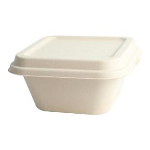 一次性纸浆餐盒双层环保可降解饭盒正方形外卖打包轻食快餐便当盒