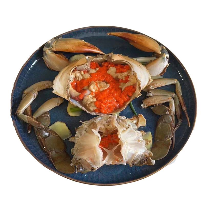 超大特大野生青蟹鲜活羔蟹鲟猷蠓 红膏母蟹1公1母搭配净重2斤包活