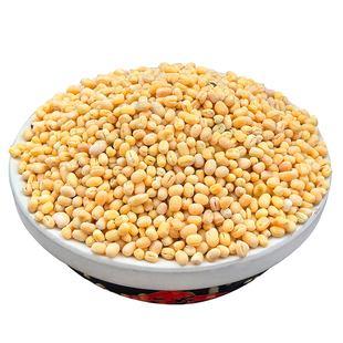脱皮绿豆当季新货去皮的绿豆5斤商用批发绿豆糕汤原料包装