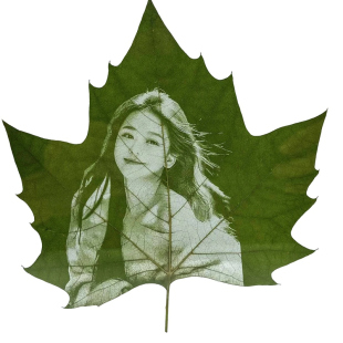 梧桐叶雕照片定制树叶雕刻创意节日生日礼物送女生闺蜜礼品摆件