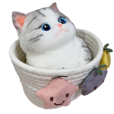 [六一儿童节礼物]2斤大款胖猫